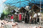 Foto: Cilts sievietes un saldūdens delfīnu meklējumi Borneo